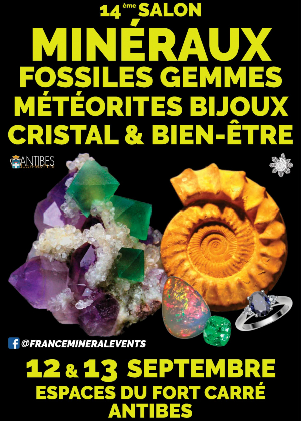 14ème Salon des Minéraux d'Antibes