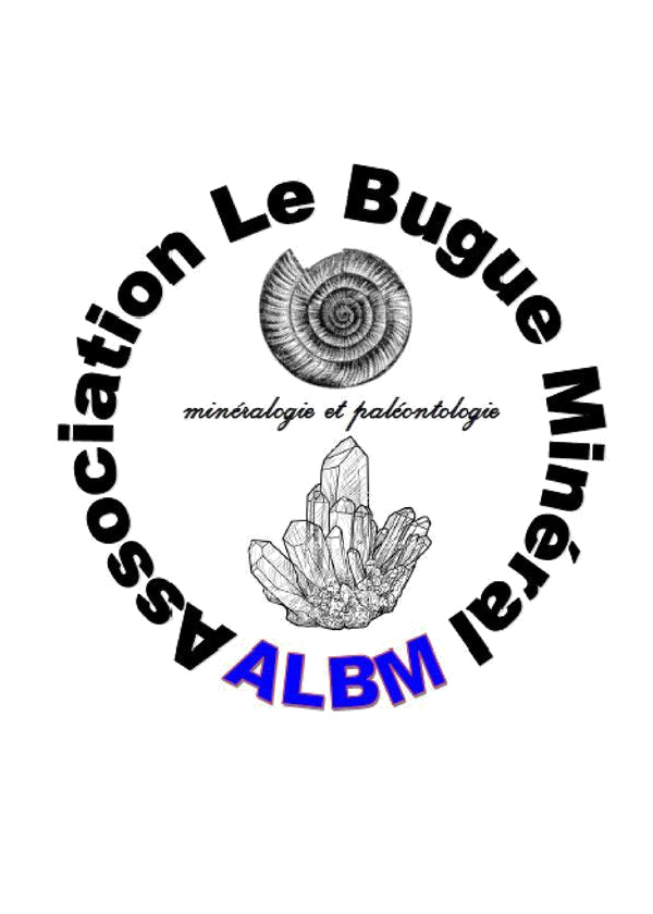 Bourse aux minéraux et fossiles