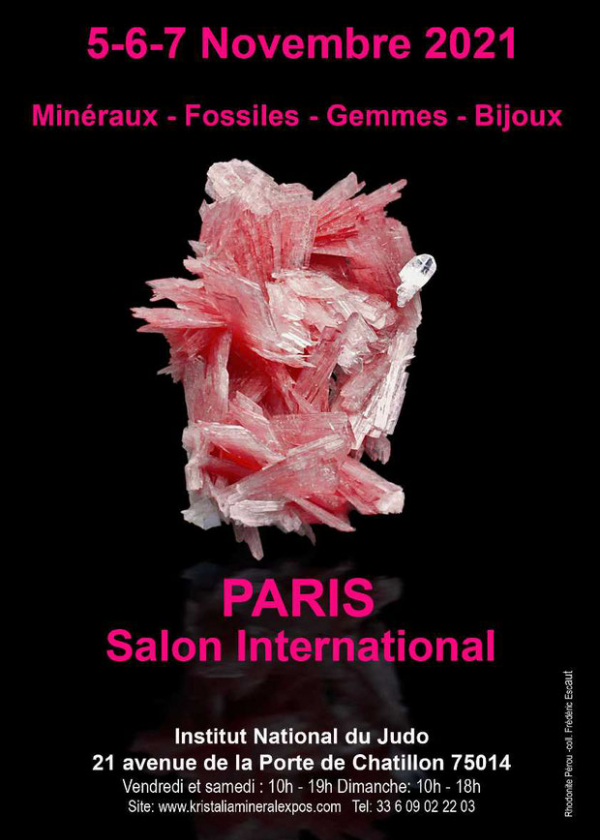 Paris salon international
