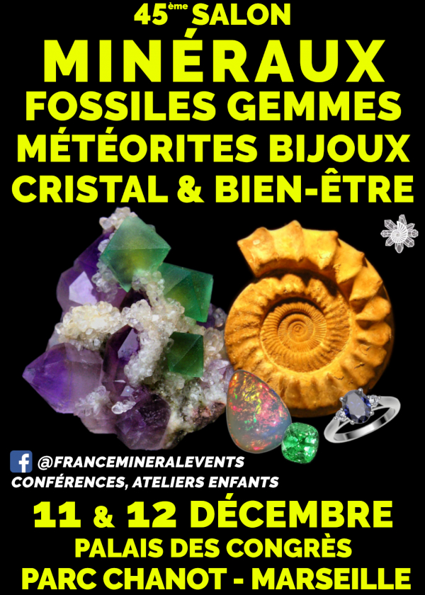 45ème Salon MinéralEvent Marseille - Minéraux, Fossiles, Gemmes, Bijoux, Cristal & Bien-être