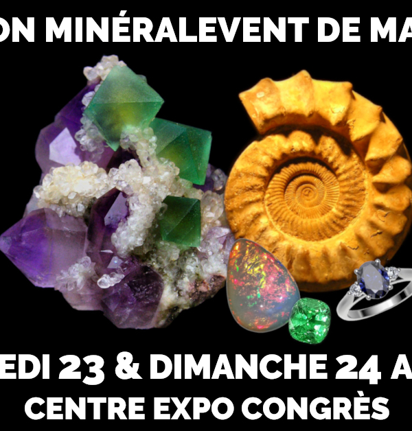 22ème Salon MinéralEvent Mandelieu - Minéraux, Fossiles, Gemmes, Bijoux, Cristal & Bien-être