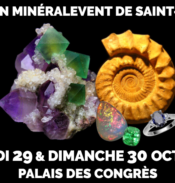 21ème Salon MinéralEvent de Saint-Raphaël