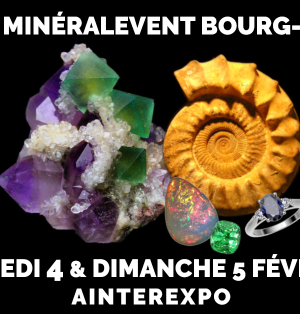 37ème Salon MineralEvent Bourg-en-Bresse