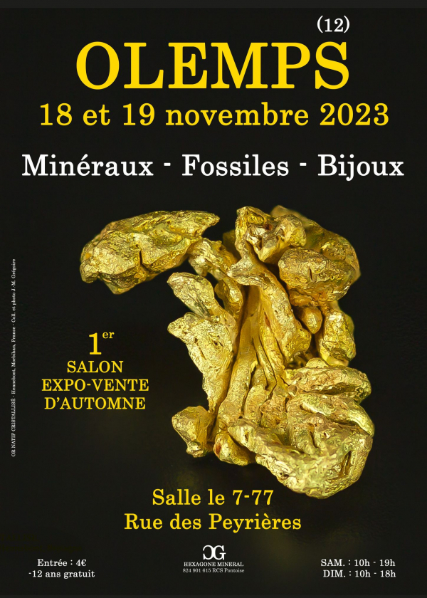 1er Salon minéraux fossiles bijoux d'automne de Olemps