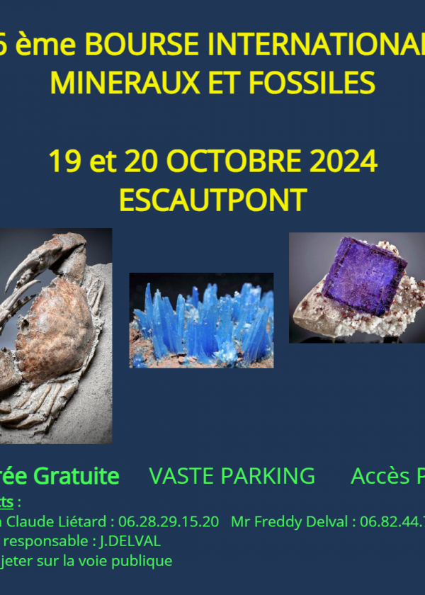 26ème salon International Minéraux et Fossiles