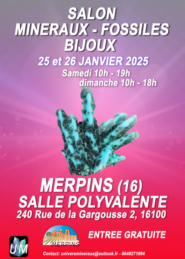 Salon minéraux, fossiles, bijoux de créateur. Salon minéraux, fossiles, bijoux de créateur.