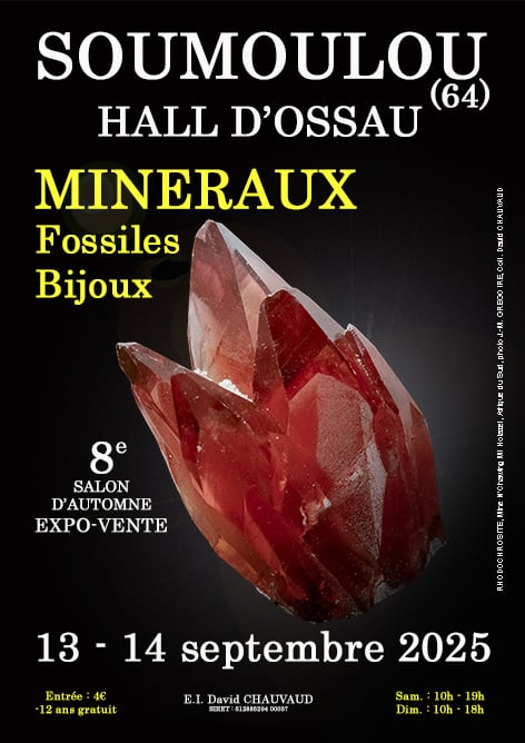 8e SALON MINERAUX FOSSILES BIJOUX d'automne 8e SALON MINERAUX FOSSILES BIJOUX d'automne