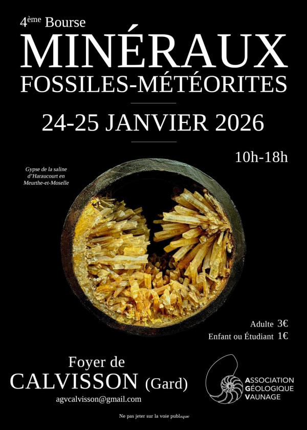 4ème bourse aux minéraux, fossiles et météorites 4ème bourse aux minéraux, fossiles et météorites