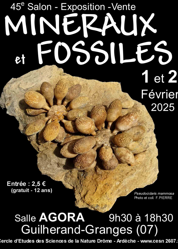 46ème Bourse Minéraux et Fossiles de Guilherand-Granges 46ème Bourse Minéraux et Fossiles de Guilherand-Granges