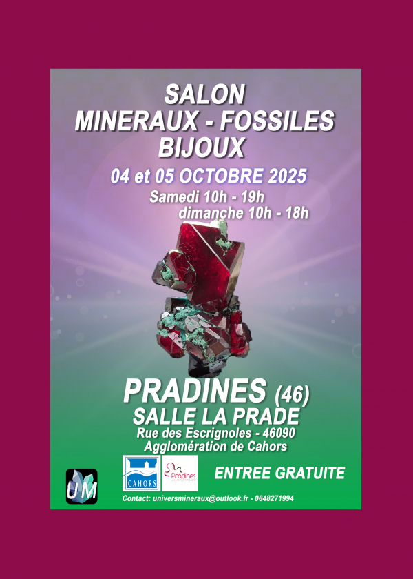 Salon minéraux, fossiles, bijoux de créateur.