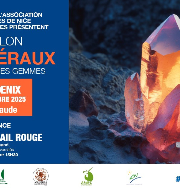 40e Salon des minéraux, fossiles et pierres gemmes