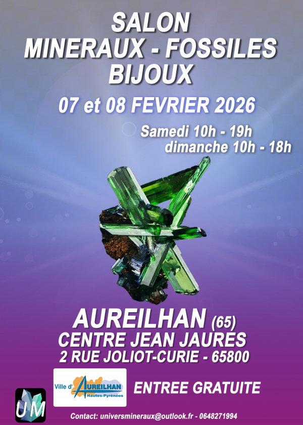 Salon minéraux, fossiles, bijoux de créateur.