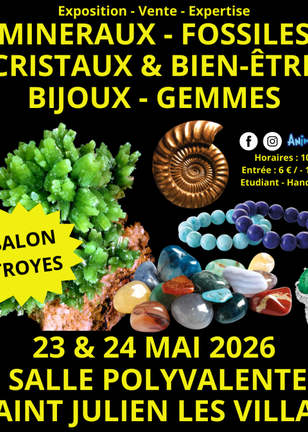2ème Salon Minéraux Fossiles de Troyes