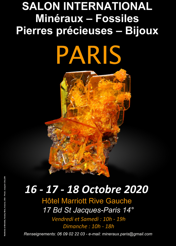 Salon International minéraux fossiles pierres précieuses bijoux Paris