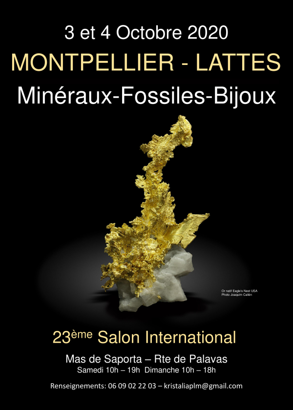 Bourse Internationale Minéraux Fossiles pierres taillées Lattes Montpellier