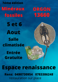 7éme bourse mineraux fossiles