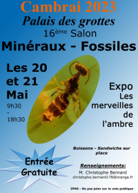 17 ème salon des minéraux et fossiles de l'AGC. Entrée gratuite de 9h30 à 18h30.