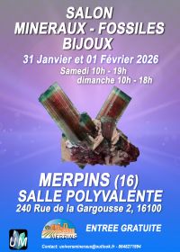 Salon minéraux, fossiles, bijoux de créateur.