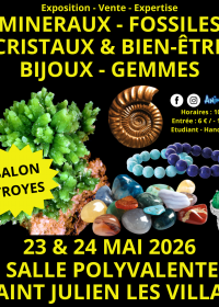 2ème Salon Minéraux Fossiles de Troyes