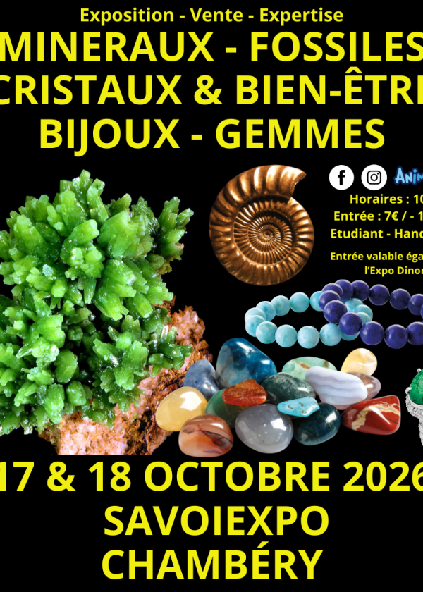 7ème Salon Minéraux Fossiles Cristaux