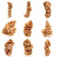 Rose des sables minéral naturel Tunisie