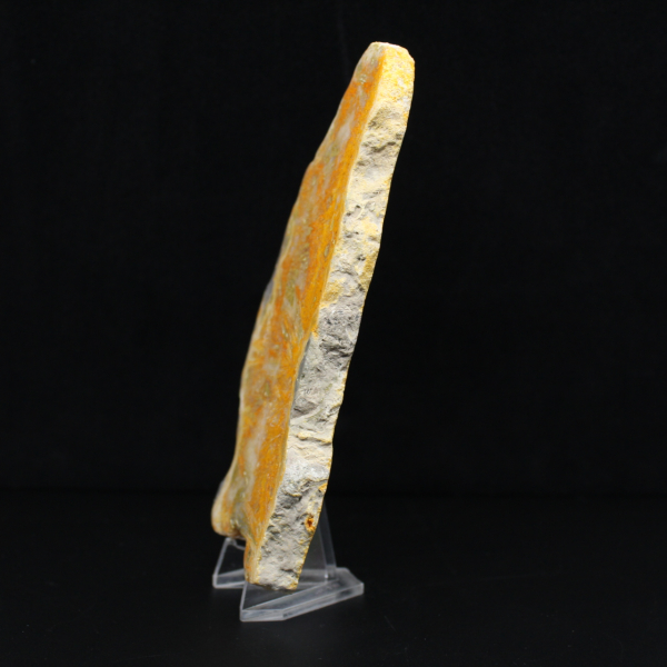 Plaque de Jaspe Bumblebee d'Indonésie