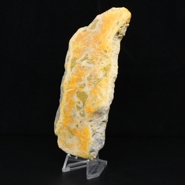 Spécimen de Jaspe Bumblebee volcanique poli