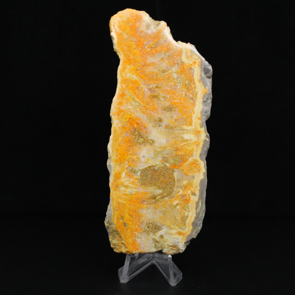 Spécimen de Jaspe Bumblebee volcanique poli