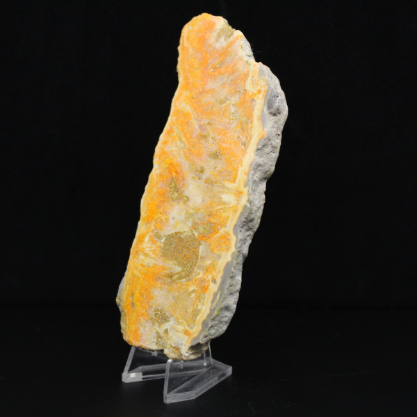 Spécimen de Jaspe Bumblebee volcanique poli