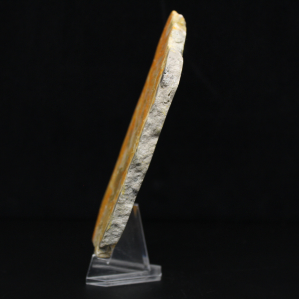 Spécimen de Jaspe Bumblebee volcanique poli