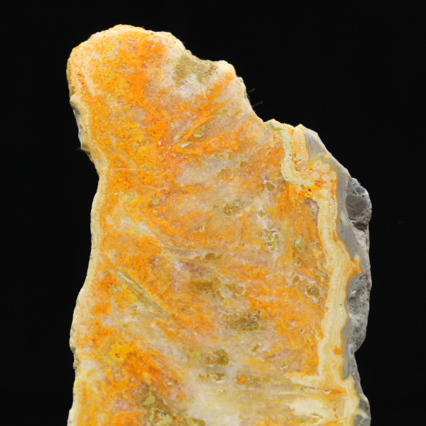 Spécimen de Jaspe Bumblebee volcanique poli