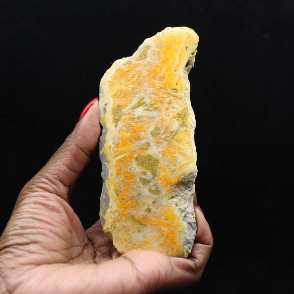 Spécimen de Jaspe Bumblebee volcanique poli