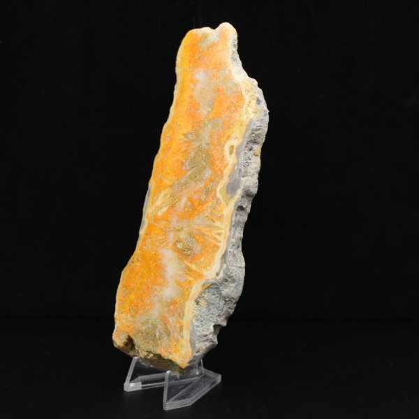 Tranche de Jaspe Bumblebee - Qualité Collection