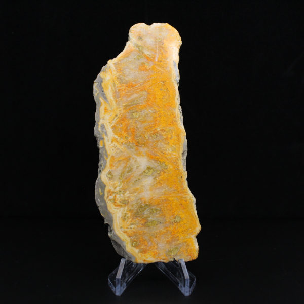 Tranche de Jaspe Bumblebee - Qualité Collection