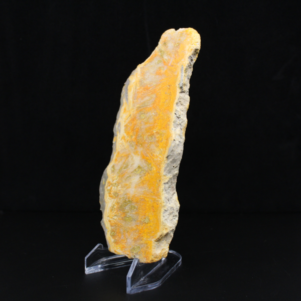 Tranche de Jaspe Bumblebee - Qualité Collection