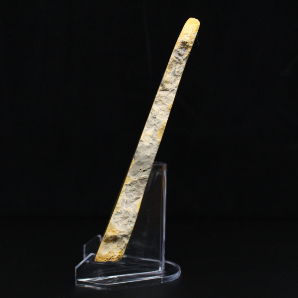 Tranche de Jaspe Bumblebee - Qualité Collection