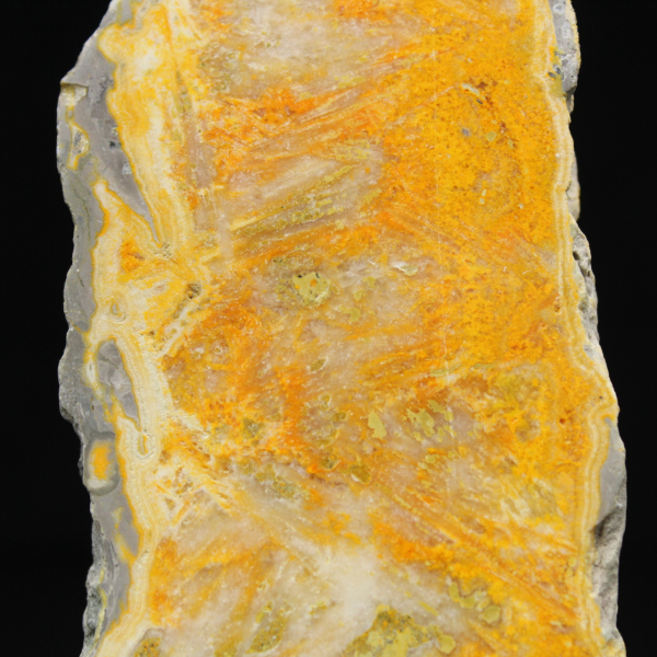 Tranche de Jaspe Bumblebee - Qualité Collection