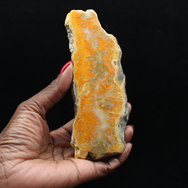 Tranche de Jaspe Bumblebee - Qualité Collection