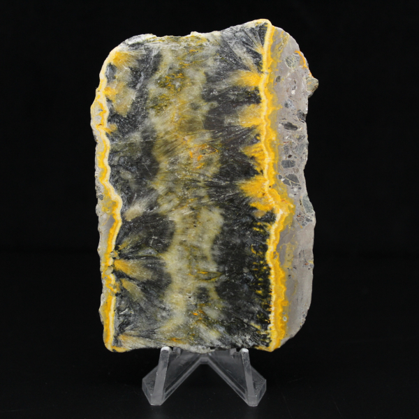 Petit spécimen de Jaspe Bumblebee en tranche