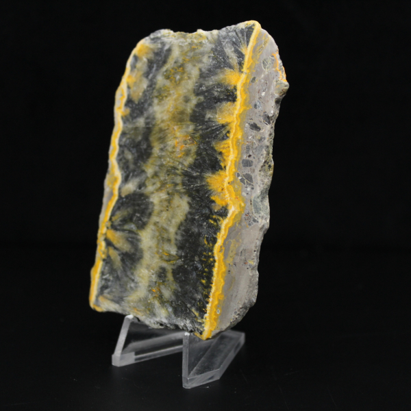 Petit spécimen de Jaspe Bumblebee en tranche