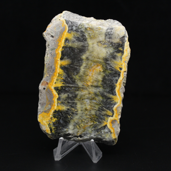 Petit spécimen de Jaspe Bumblebee en tranche