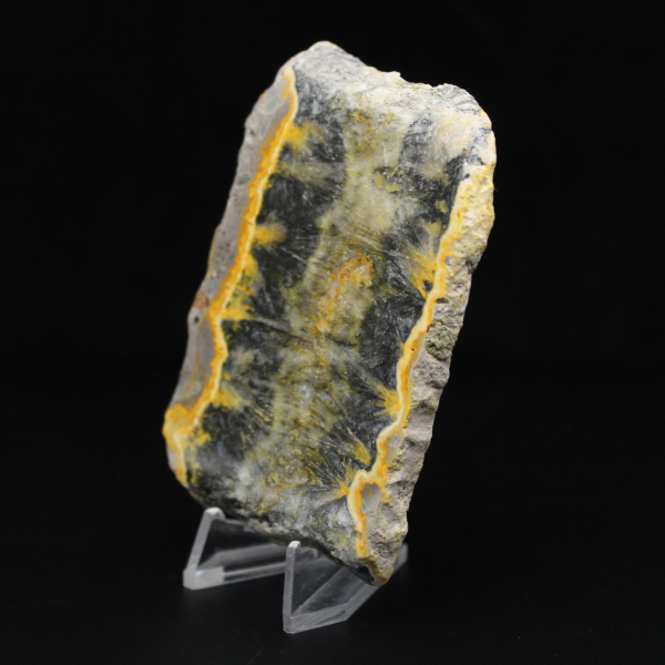 Petit spécimen de Jaspe Bumblebee en tranche