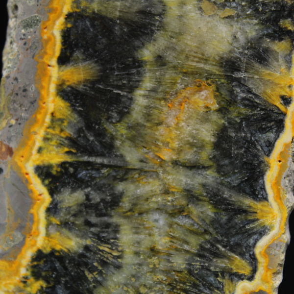 Petit spécimen de Jaspe Bumblebee en tranche