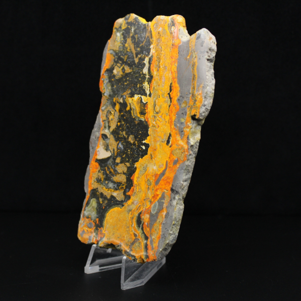 Jaspe Bumblebee d'Indonésie : large plaque polie