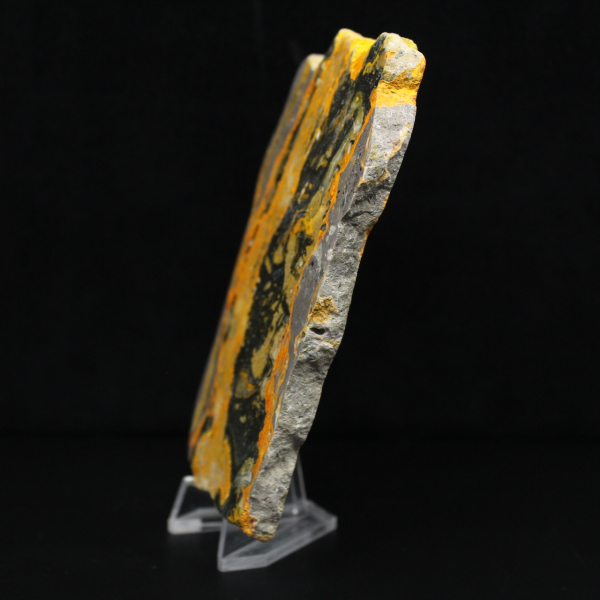 Jaspe Bumblebee d'Indonésie : large plaque polie