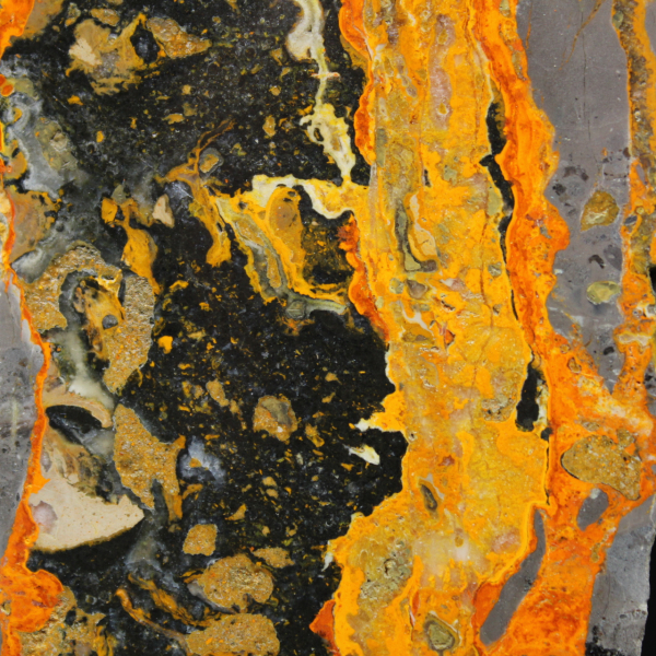 Jaspe Bumblebee d'Indonésie : large plaque polie