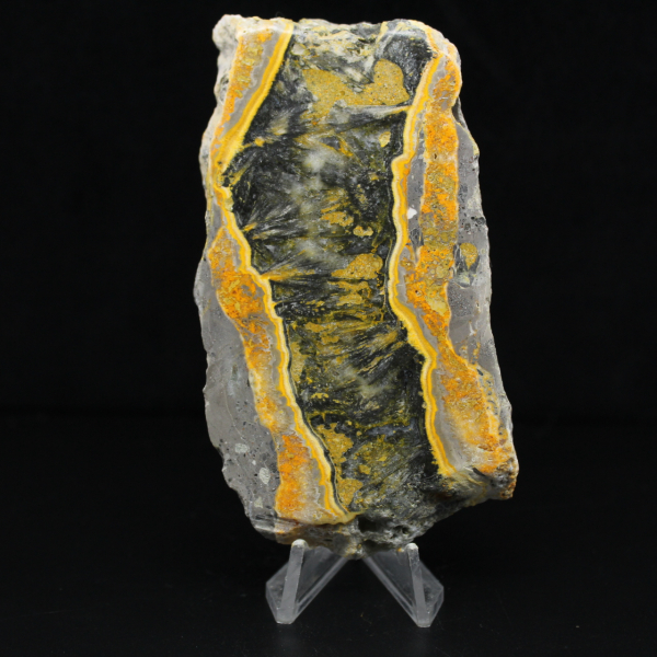 Tranche épaisse de Jaspe Bumblebee poli