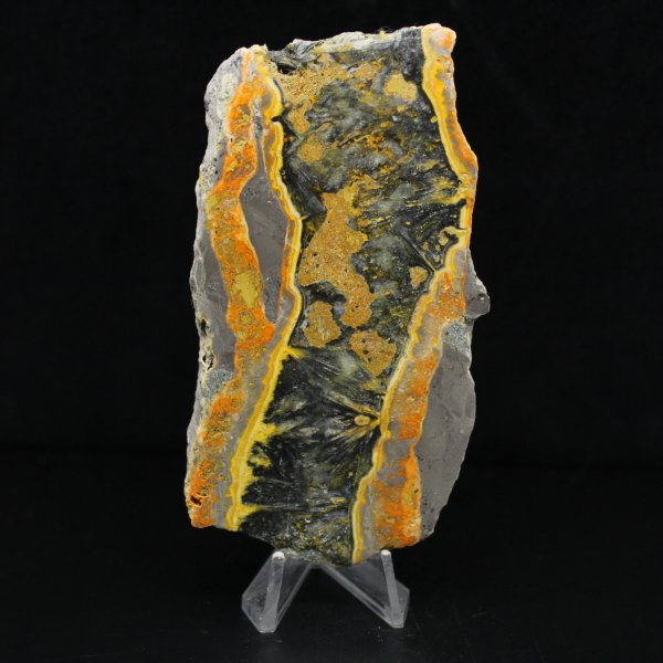 Tranche épaisse de Jaspe Bumblebee poli