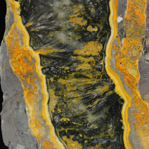 Tranche épaisse de Jaspe Bumblebee poli