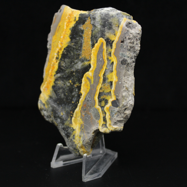 Spécimen poli de Jaspe Bumblebee - 105g